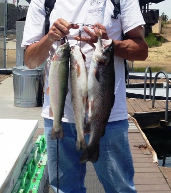 Anonymous 3 trout 12lb total, trolling deep with Nightcrawler - Copy.jpg